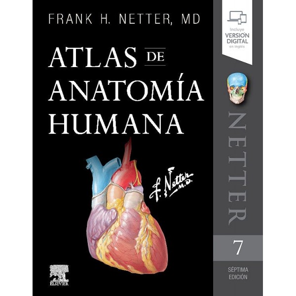 copy of ATLAS DE ANATOMIA...